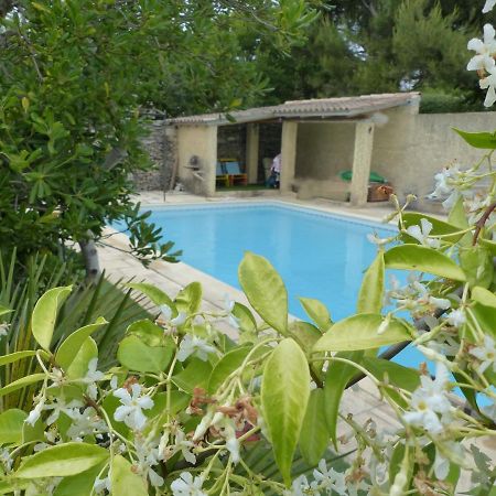 Villa La Quietude De St Antoine - Piscine Privee LʼIsle-sur-la-Sorgue Exterior foto